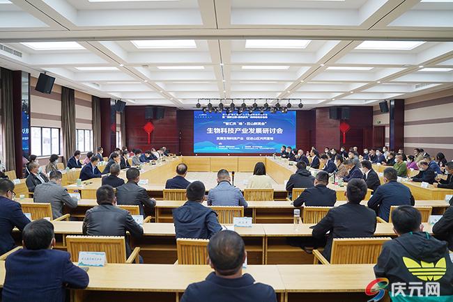 庆元论坛最新房屋出售，与自然和谐共舞，探寻内心桃花源