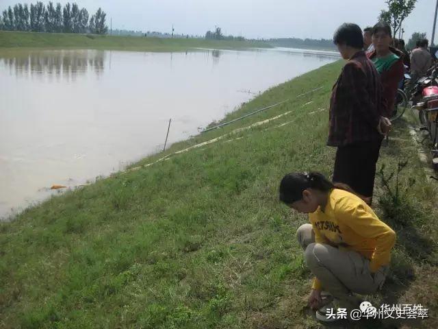 洪水最新动态，灾难演变与深远影响