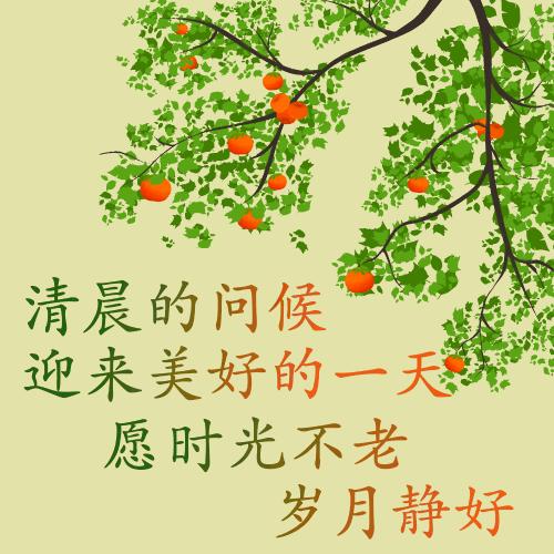 早上好，开启自然美景探索之旅