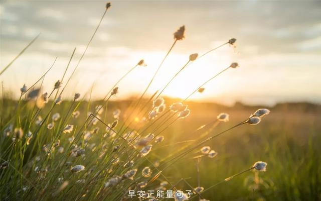 最新早安图片，自然美景的探索之旅