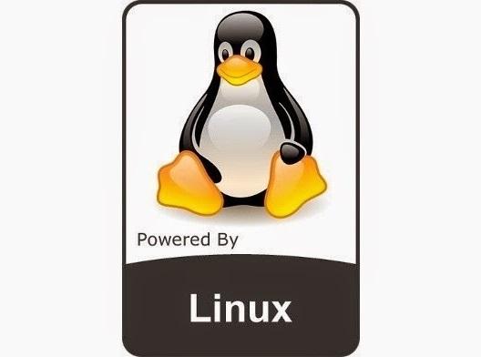 Linux内核最新版本，时代的里程碑与技术飞跃